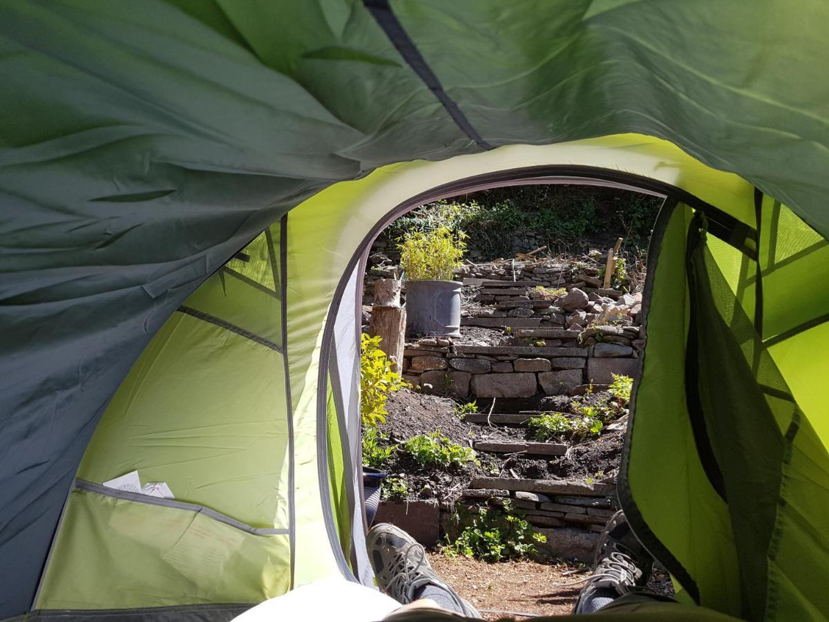 'Yellow Wood Micro Hostel-Eco Urban Bothy Style Very Basic But Cosy Redecorating But Cheap & Friendly Quiet Time Lockout 11Pm-7Am Bring Towel Or Hire Brecon Extérieur photo
