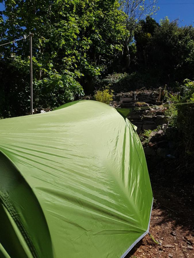 'Yellow Wood Micro Hostel-Eco Urban Bothy Style Very Basic But Cosy Redecorating But Cheap & Friendly Quiet Time Lockout 11Pm-7Am Bring Towel Or Hire Brecon Extérieur photo